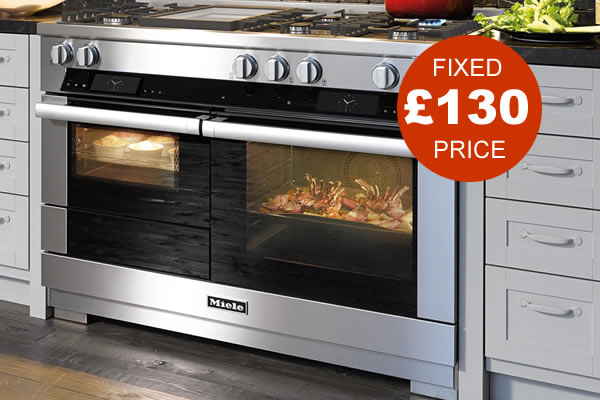 range oven clean £130